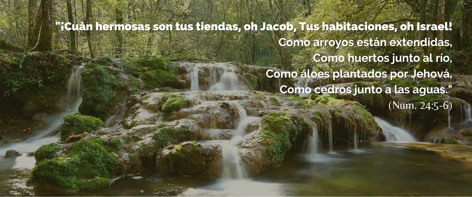 Rio de cascada con piedras y arboles frondosos con la inscripción de Numeros 24: 5-6