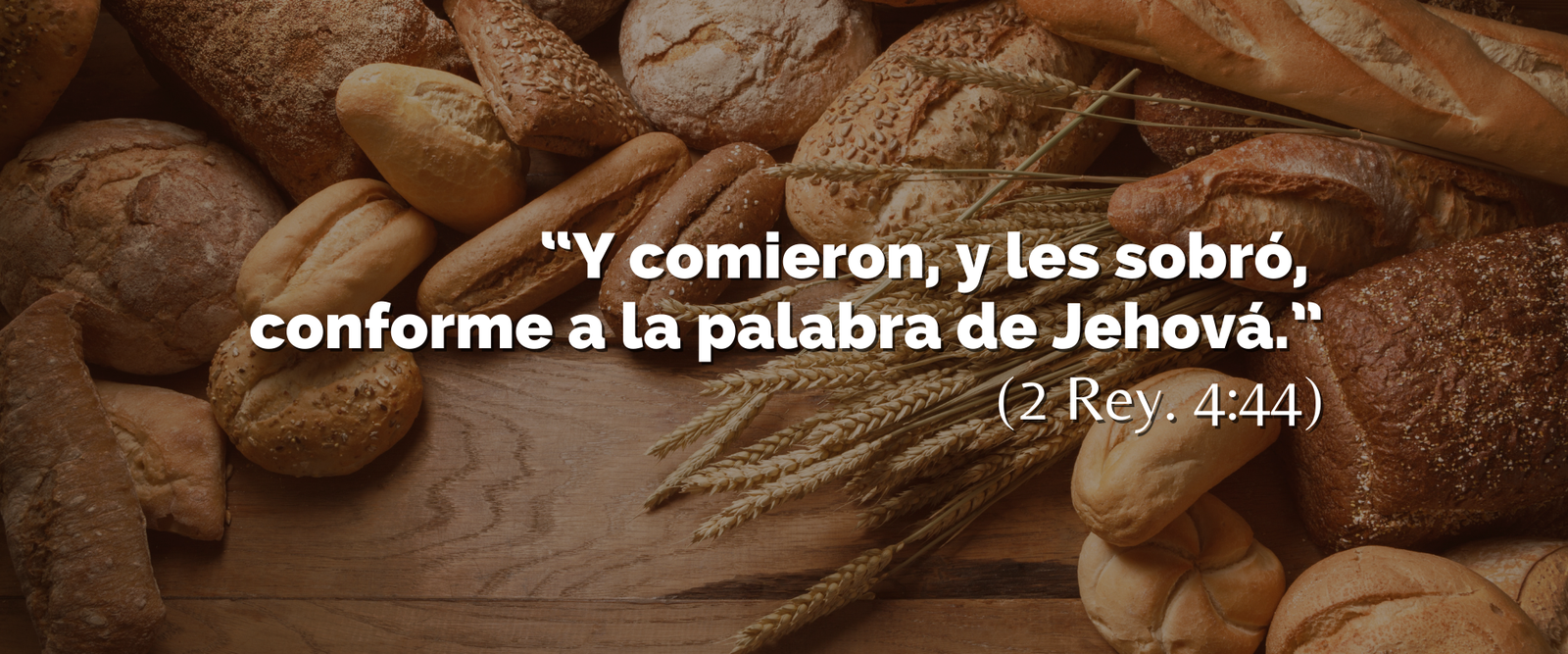 Meditación Bíblica para 2 Reyes 4 • Iglesia Reformada Calvary